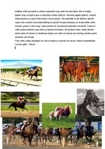 Eseja 'Valmieras pagasts', 5.