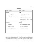 Konspekts 'Uzņēmuma "If P&C Insurance" stratēģijas analīze', 3.