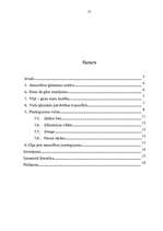 Referāts 'Gaiss kā dabas resurss', 15.