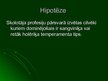 Referāts 'Skolotāju temperamenta tipi un to nozīme darba kolektīvā', 29.