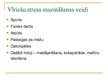 Prezentācija 'Sieviešu un vīriešu stress', 13.
