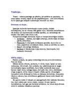 Referāts 'Spānija', 17.