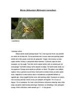 Konspekts 'Briežu diždundurs (Hybomitra tarandina)', 1.