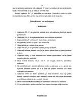 Referāts 'Uzņēmuma "X" personāla vadība', 24.