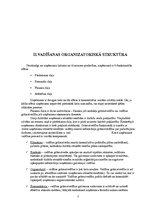 Prakses atskaite 'Mācību prakse uzņēmumā "SIA Eiropas apavi"', 7.