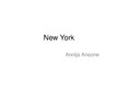 Prezentācija 'A Trip to New York City', 1.