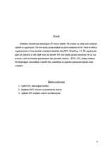 Referāts 'Datu pārraide, izmantojot elektrisko tīklu [BPL]', 4.