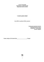 Prakses atskaite 'Lietvedība un grāmatvedības pamati', 1.