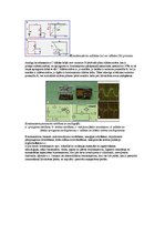 Konspekts 'Kondensatori, to slēgumi', 2.