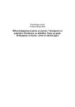 Referāts 'Ētikas kategorijas', 1.