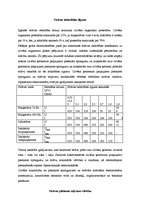 Referāts 'Elektrodrošība', 7.