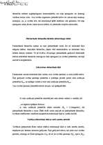 Referāts 'Elektrodrošība', 10.