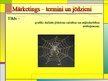 Prezentācija 'Mārketings - termini un jēdzieni', 66.