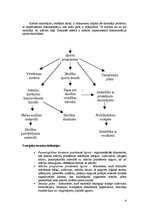 Referāts 'Sporta skolotāja kvalifikācijas darbs', 9.