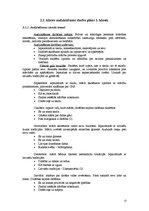 Referāts 'Sporta skolotāja kvalifikācijas darbs', 13.