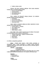 Referāts 'Sporta skolotāja kvalifikācijas darbs', 14.