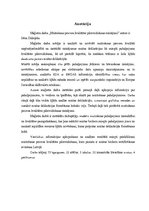 Diplomdarbs 'Muitošanas procesa kvalitātes pilnveidošanas risinājumi', 3.