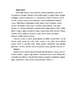 Referāts 'Latviešu nacionālie ēdieni', 5.