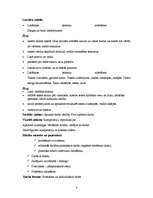 Konspekts 'Pavasara darbi dārzā - integrēta nodarbība', 4.