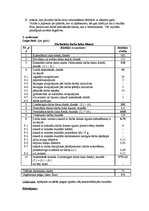 Paraugs 'Darba laika izmantošanas analīze', 2.