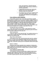 Referāts 'Cenu veidošanas process', 3.