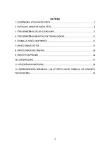 Referāts 'Jauna bērnu preču veikala izveide', 2.