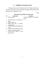 Referāts 'Jauna bērnu preču veikala izveide', 5.