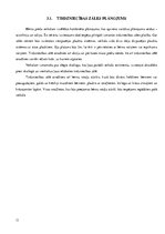 Referāts 'Jauna bērnu preču veikala izveide', 11.