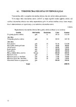 Referāts 'Jauna bērnu preču veikala izveide', 12.