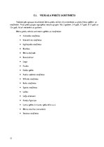 Referāts 'Jauna bērnu preču veikala izveide', 13.