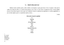 Referāts 'Jauna bērnu preču veikala izveide', 15.