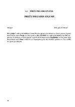 Referāts 'Jauna bērnu preču veikala izveide', 20.