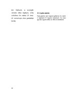 Referāts 'Jauna bērnu preču veikala izveide', 24.