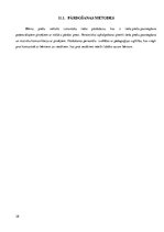 Referāts 'Jauna bērnu preču veikala izveide', 28.