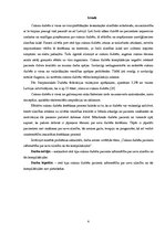 Diplomdarbs 'Otrā tipa cukura diabēta pacientu informētība par savu slimību un tās komplikāci', 4.