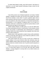 Diplomdarbs 'Otrā tipa cukura diabēta pacientu informētība par savu slimību un tās komplikāci', 16.