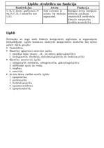 Konspekts 'Lipīdi', 1.