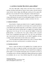 Referāts 'Feminisma loma un varones Katnisas Everdīnas tēls filmu sērijā "Bada spēles"', 7.