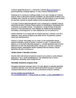 Konspekts 'Zviedrijas apsūdzības un aizstāvības iestādes', 2.