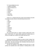 Referāts 'Vizuālā reklāma', 7.