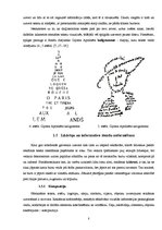 Referāts 'Vizuālā reklāma', 8.