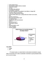 Referāts 'Vizuālā reklāma', 20.