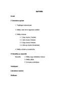 Referāts 'Dzīvnieki', 1.