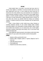 Referāts 'Dzīvnieki', 3.