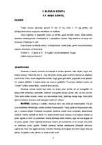 Referāts 'Dzīvnieki', 6.