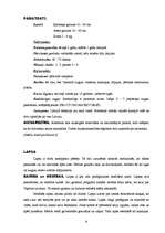 Referāts 'Dzīvnieki', 8.