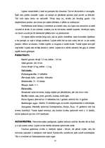 Referāts 'Dzīvnieki', 10.