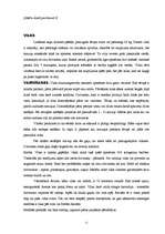 Referāts 'Dzīvnieki', 11.