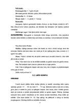 Referāts 'Dzīvnieki', 13.