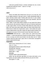 Referāts 'Dzīvnieki', 14.